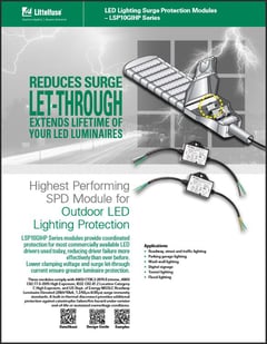 LSPGIHP_Product_Flyer_TH.jpg